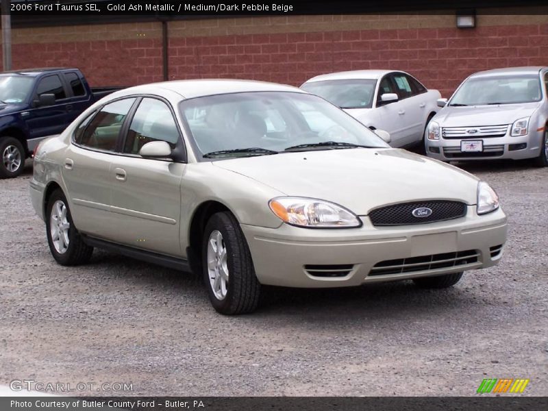 Gold Ash Metallic / Medium/Dark Pebble Beige 2006 Ford Taurus SEL