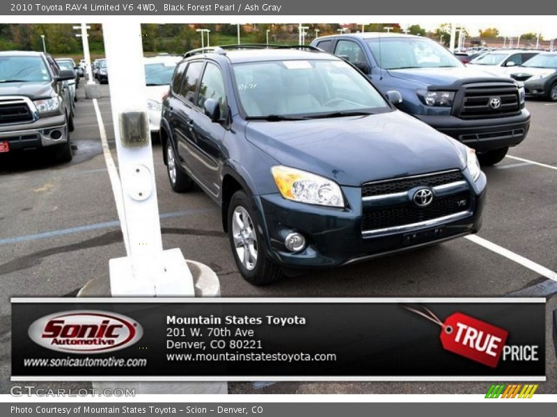 Black Forest Pearl / Ash Gray 2010 Toyota RAV4 Limited V6 4WD