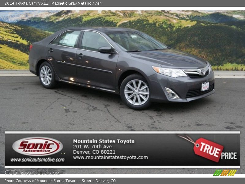 Magnetic Gray Metallic / Ash 2014 Toyota Camry XLE