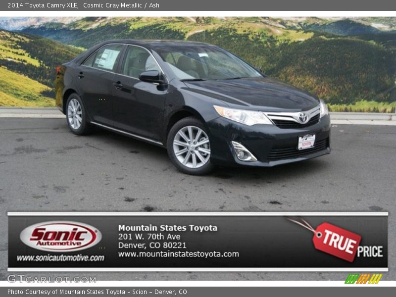 Cosmic Gray Metallic / Ash 2014 Toyota Camry XLE
