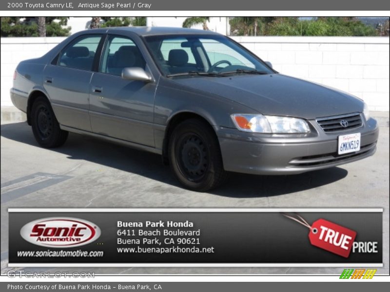 Antique Sage Pearl / Gray 2000 Toyota Camry LE