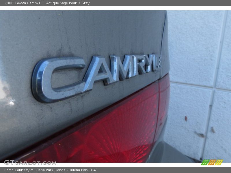 Antique Sage Pearl / Gray 2000 Toyota Camry LE