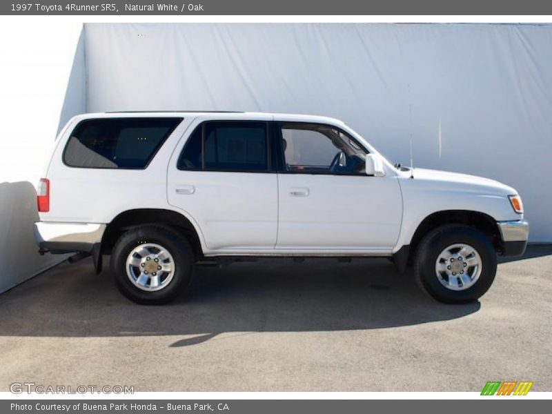 Natural White / Oak 1997 Toyota 4Runner SR5