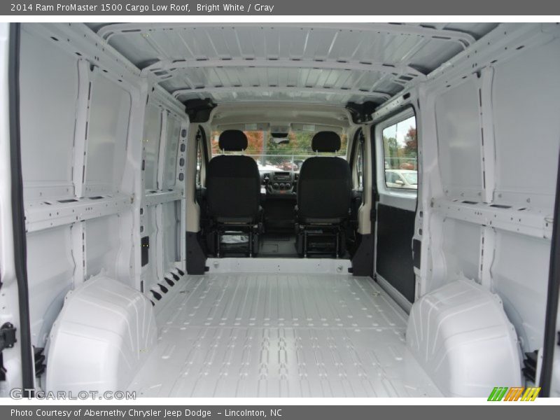  2014 ProMaster 1500 Cargo Low Roof Trunk