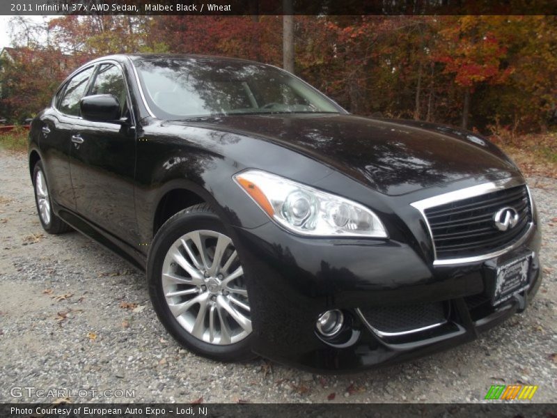 Malbec Black / Wheat 2011 Infiniti M 37x AWD Sedan