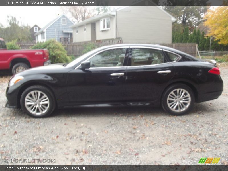 Malbec Black / Wheat 2011 Infiniti M 37x AWD Sedan