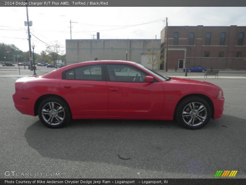 TorRed / Black/Red 2014 Dodge Charger R/T Plus AWD