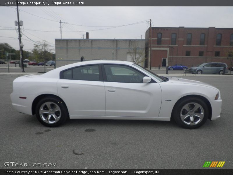 Bright White / Black 2014 Dodge Charger R/T