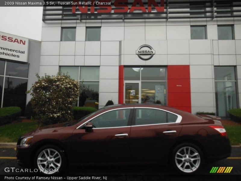 Tuscan Sun Metallic / Charcoal 2009 Nissan Maxima 3.5 SV