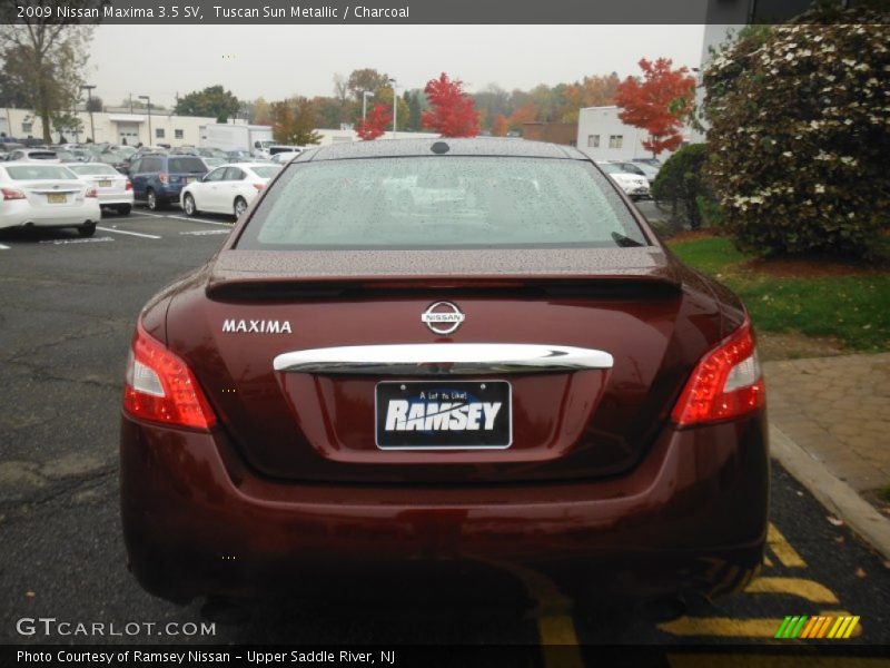 Tuscan Sun Metallic / Charcoal 2009 Nissan Maxima 3.5 SV