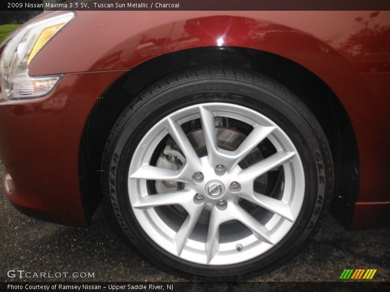 Tuscan Sun Metallic / Charcoal 2009 Nissan Maxima 3.5 SV