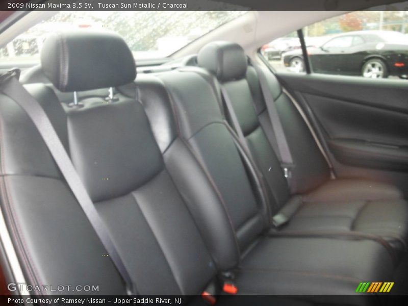 Tuscan Sun Metallic / Charcoal 2009 Nissan Maxima 3.5 SV