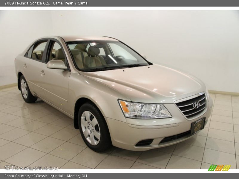 Camel Pearl / Camel 2009 Hyundai Sonata GLS