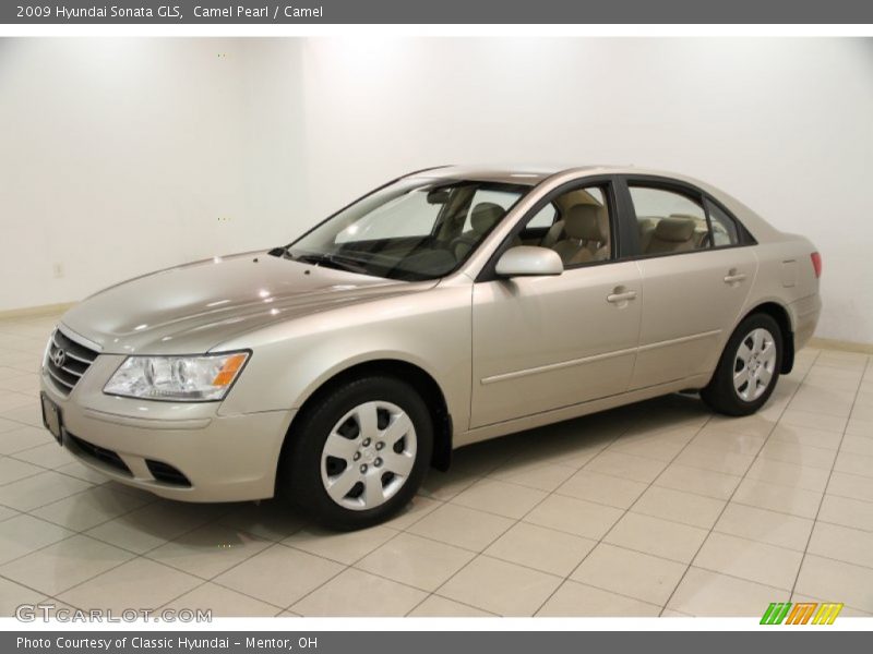 Camel Pearl / Camel 2009 Hyundai Sonata GLS