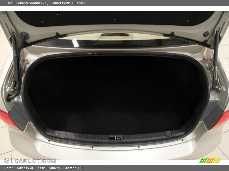 Camel Pearl / Camel 2009 Hyundai Sonata GLS