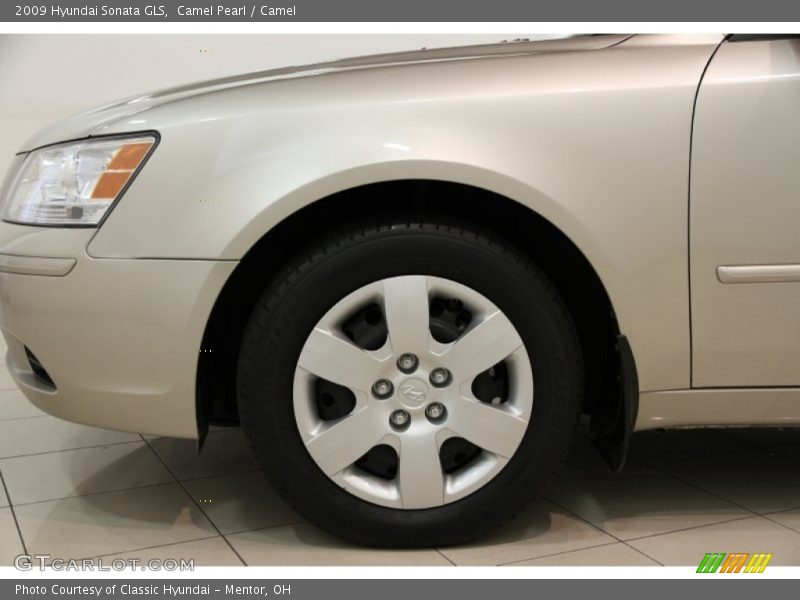 Camel Pearl / Camel 2009 Hyundai Sonata GLS