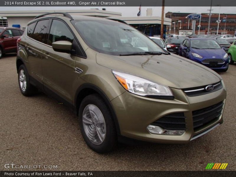 Ginger Ale / Charcoal Black 2014 Ford Escape SE 2.0L EcoBoost 4WD