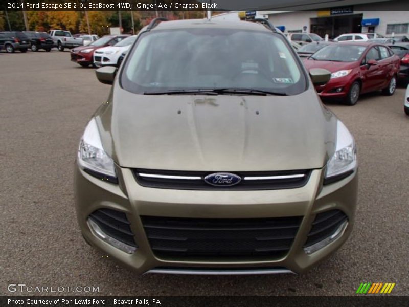 Ginger Ale / Charcoal Black 2014 Ford Escape SE 2.0L EcoBoost 4WD