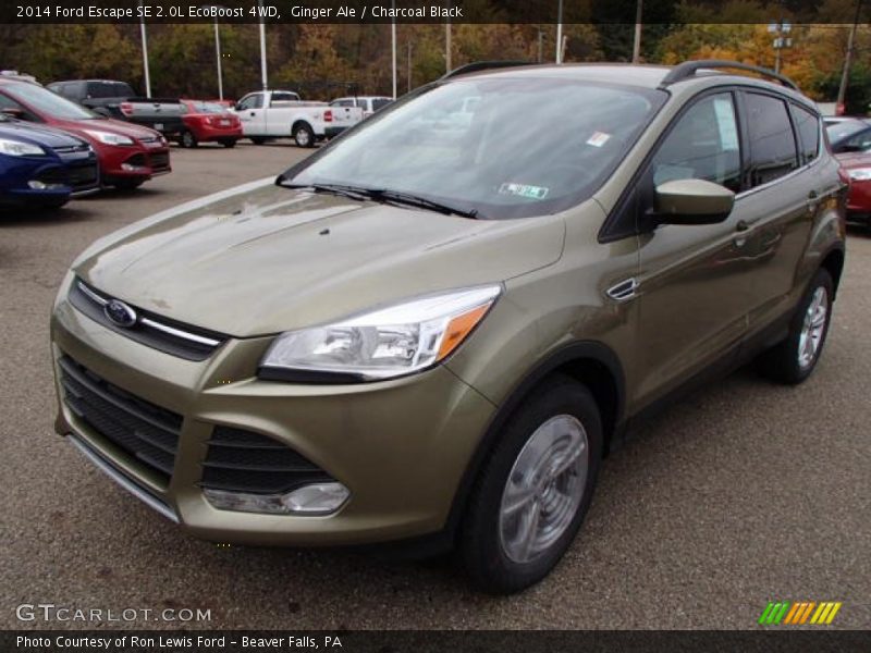 Ginger Ale / Charcoal Black 2014 Ford Escape SE 2.0L EcoBoost 4WD