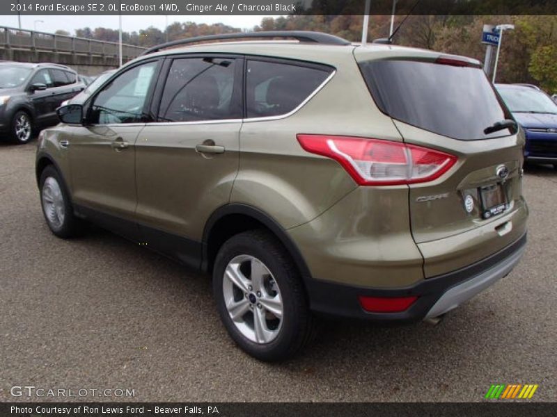 Ginger Ale / Charcoal Black 2014 Ford Escape SE 2.0L EcoBoost 4WD