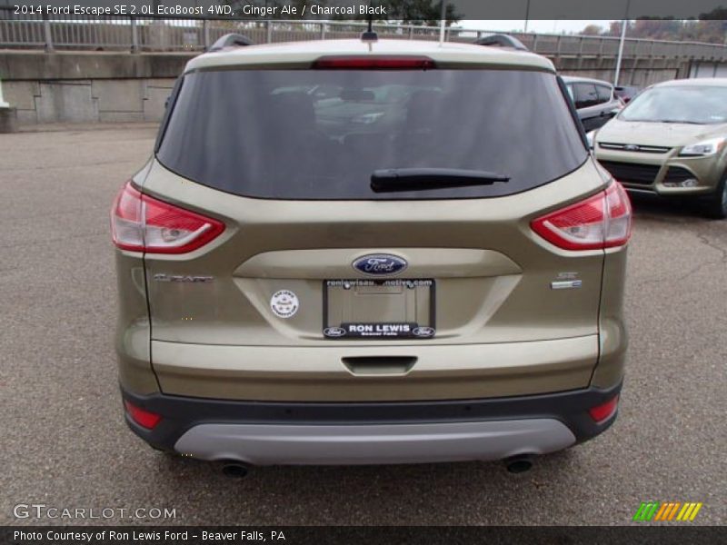 Ginger Ale / Charcoal Black 2014 Ford Escape SE 2.0L EcoBoost 4WD