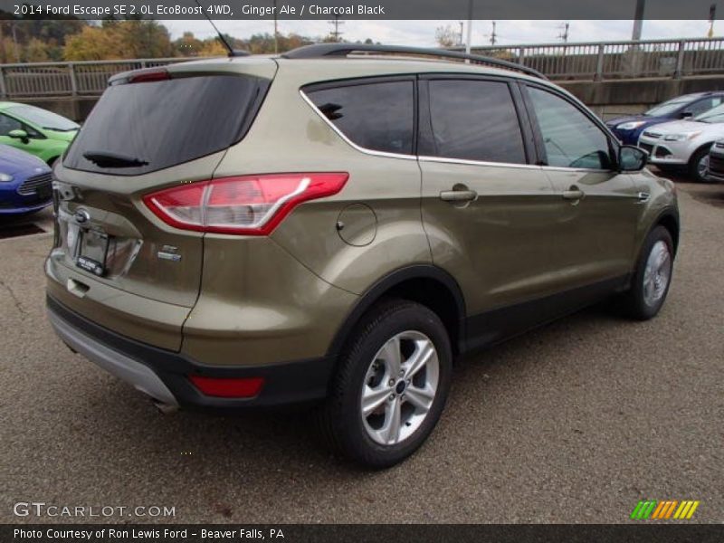 Ginger Ale / Charcoal Black 2014 Ford Escape SE 2.0L EcoBoost 4WD