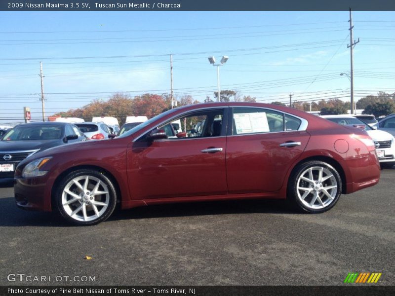 Tuscan Sun Metallic / Charcoal 2009 Nissan Maxima 3.5 SV