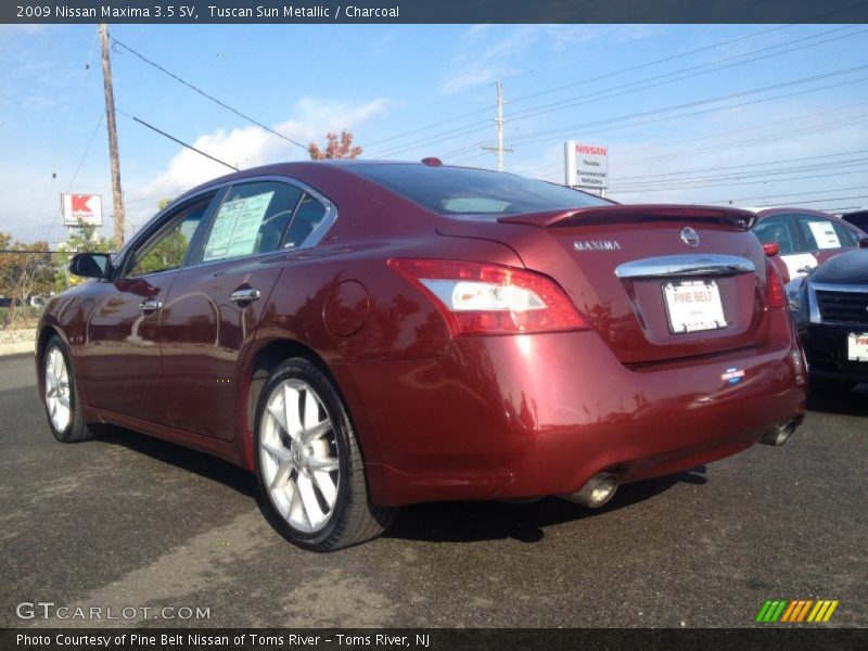 Tuscan Sun Metallic / Charcoal 2009 Nissan Maxima 3.5 SV
