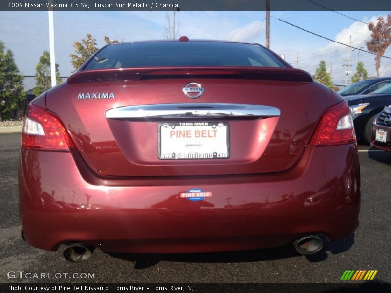 Tuscan Sun Metallic / Charcoal 2009 Nissan Maxima 3.5 SV