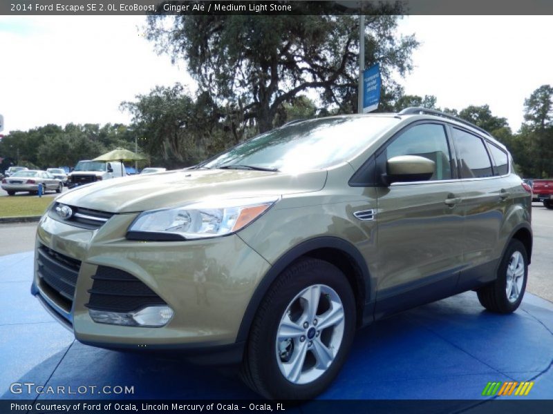 Ginger Ale / Medium Light Stone 2014 Ford Escape SE 2.0L EcoBoost
