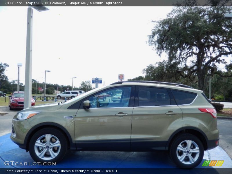 Ginger Ale / Medium Light Stone 2014 Ford Escape SE 2.0L EcoBoost