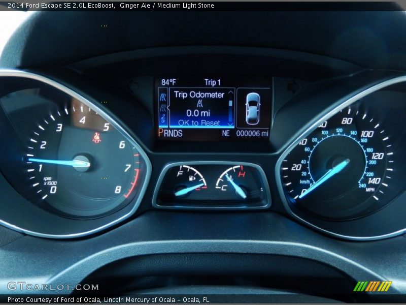 Ginger Ale / Medium Light Stone 2014 Ford Escape SE 2.0L EcoBoost