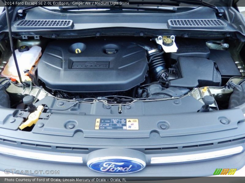 Ginger Ale / Medium Light Stone 2014 Ford Escape SE 2.0L EcoBoost