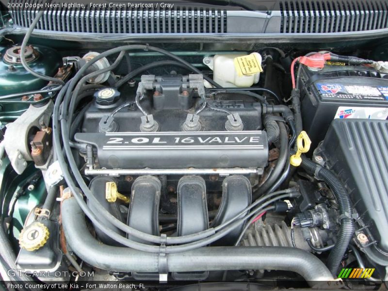Forest Green Pearlcoat / Gray 2000 Dodge Neon Highline