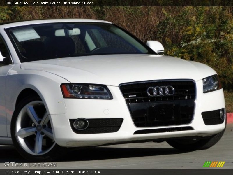 Ibis White / Black 2009 Audi A5 3.2 quattro Coupe