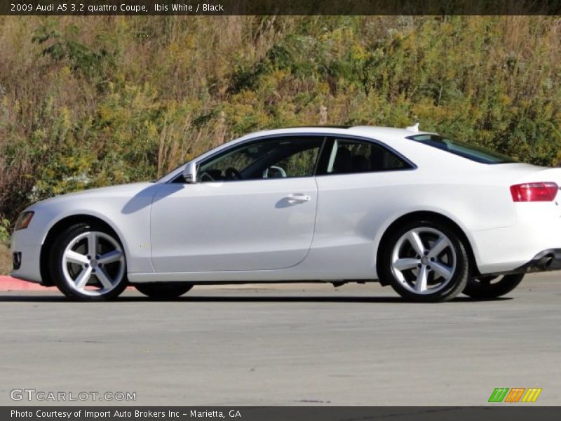 Ibis White / Black 2009 Audi A5 3.2 quattro Coupe