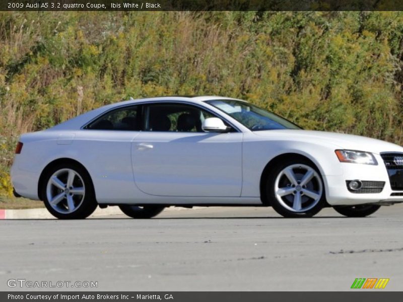 Ibis White / Black 2009 Audi A5 3.2 quattro Coupe