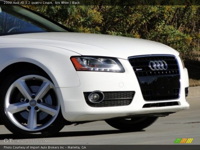 Ibis White / Black 2009 Audi A5 3.2 quattro Coupe