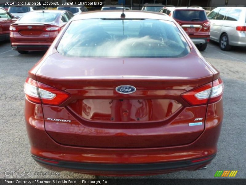 Sunset / Charcoal Black 2014 Ford Fusion SE EcoBoost