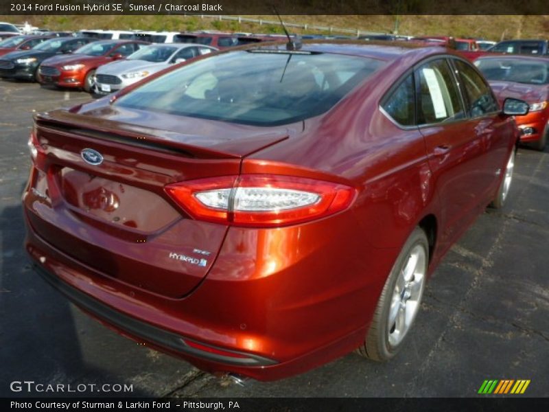 Sunset / Charcoal Black 2014 Ford Fusion Hybrid SE
