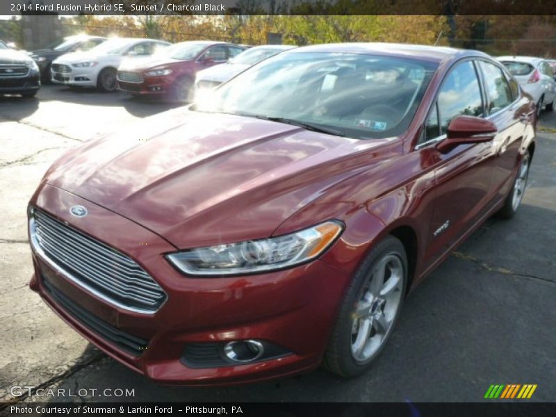 Sunset / Charcoal Black 2014 Ford Fusion Hybrid SE