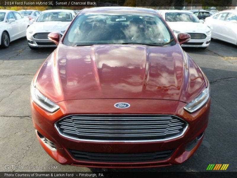 Sunset / Charcoal Black 2014 Ford Fusion Hybrid SE