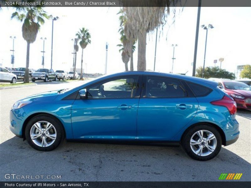 Blue Candy / Charcoal Black 2014 Ford Focus SE Hatchback