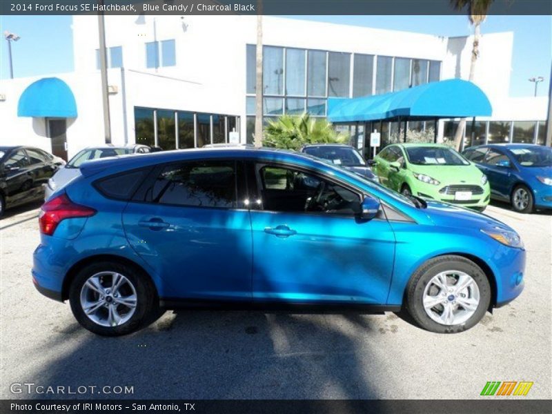 Blue Candy / Charcoal Black 2014 Ford Focus SE Hatchback