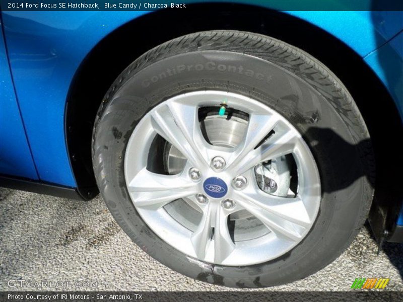 Blue Candy / Charcoal Black 2014 Ford Focus SE Hatchback