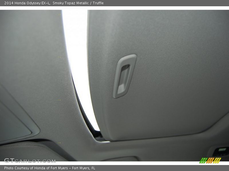 Smoky Topaz Metallic / Truffle 2014 Honda Odyssey EX-L