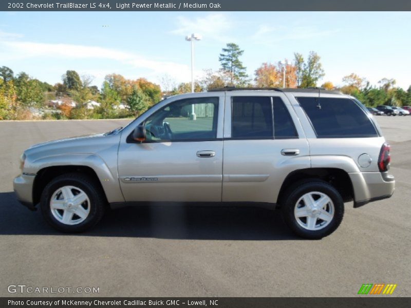 Light Pewter Metallic / Medium Oak 2002 Chevrolet TrailBlazer LS 4x4