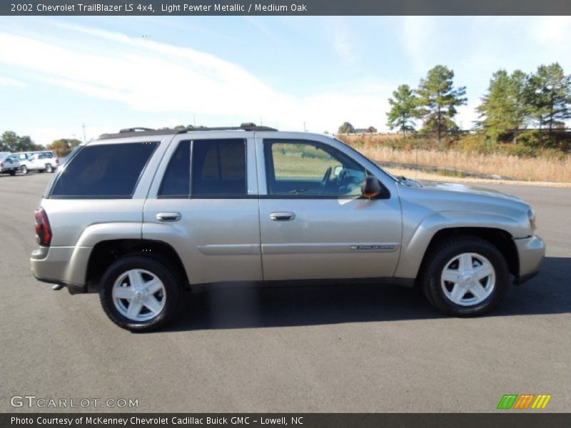 Light Pewter Metallic / Medium Oak 2002 Chevrolet TrailBlazer LS 4x4
