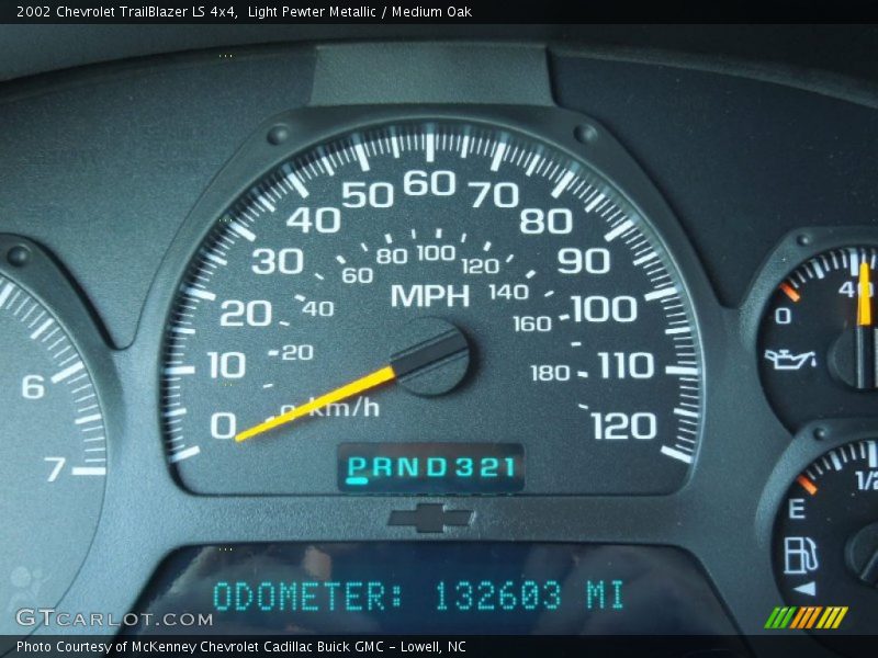 Light Pewter Metallic / Medium Oak 2002 Chevrolet TrailBlazer LS 4x4