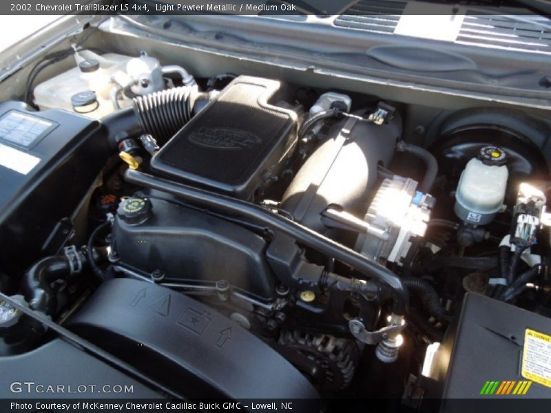 Light Pewter Metallic / Medium Oak 2002 Chevrolet TrailBlazer LS 4x4